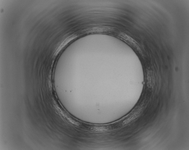 X0000067950794200605041824