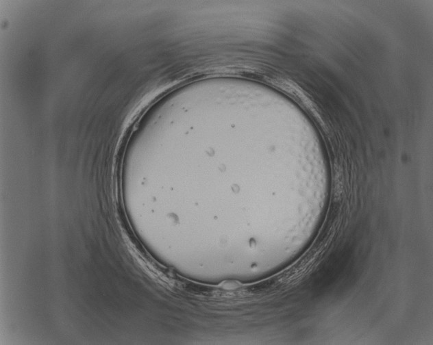 X0000067950795200605041824