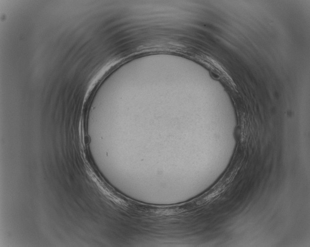 X0000067950796200605041824