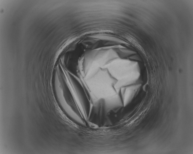 X0000067950797200605041824