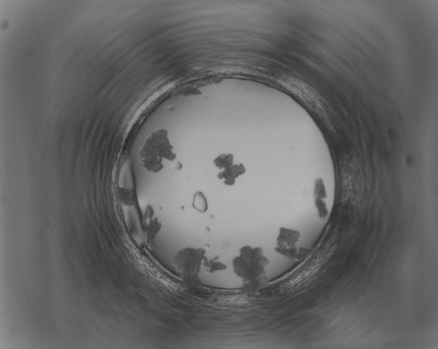 X0000067950798200605041824