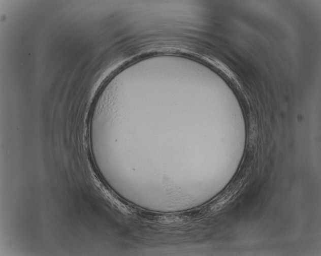 X0000067950799200605041824