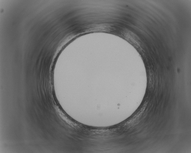 X0000067950800200605041824