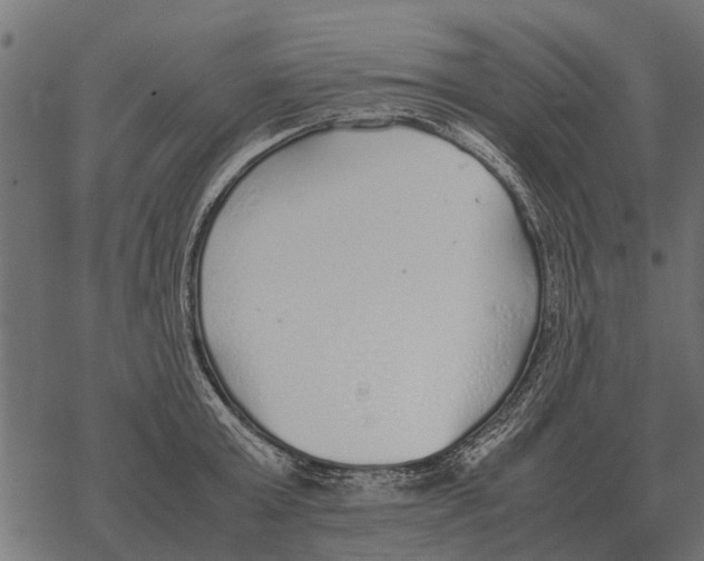 X0000067950803200605041824