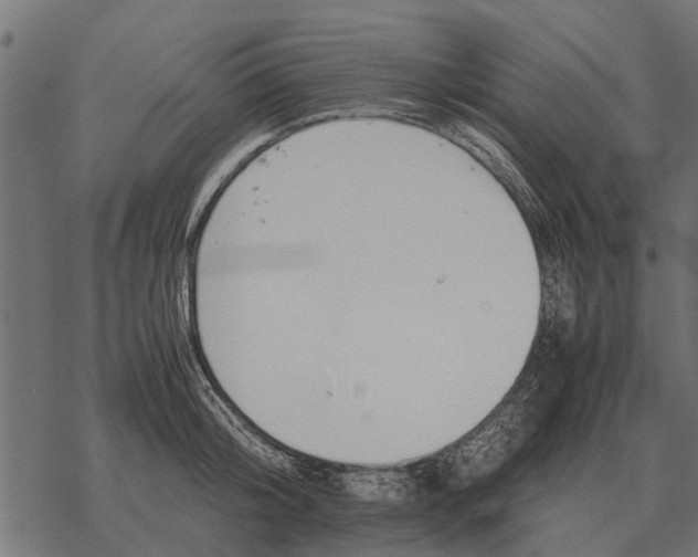 X0000067950804200605041824