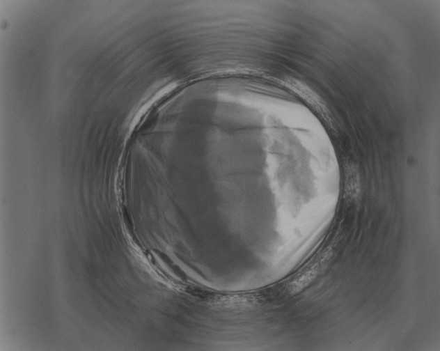 X0000067950806200605041824