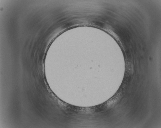 X0000067950807200605041824