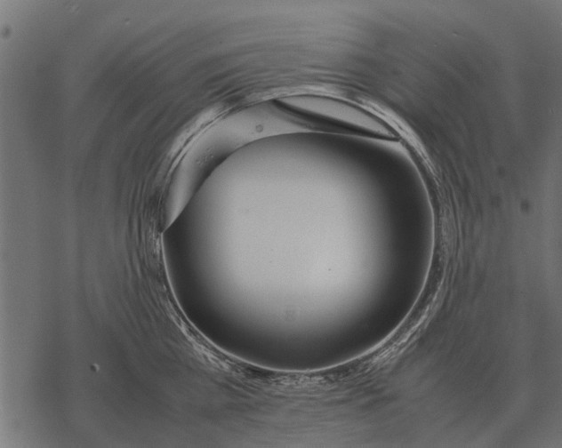 X0000067950809200605041824