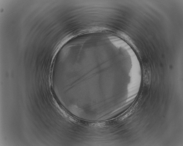 X0000067950810200605041824