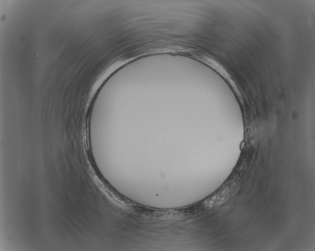 X0000067950811200605041824