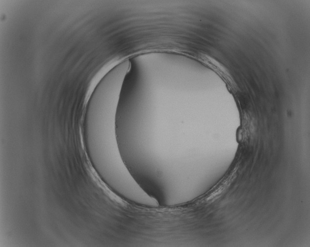 X0000067950812200605041824