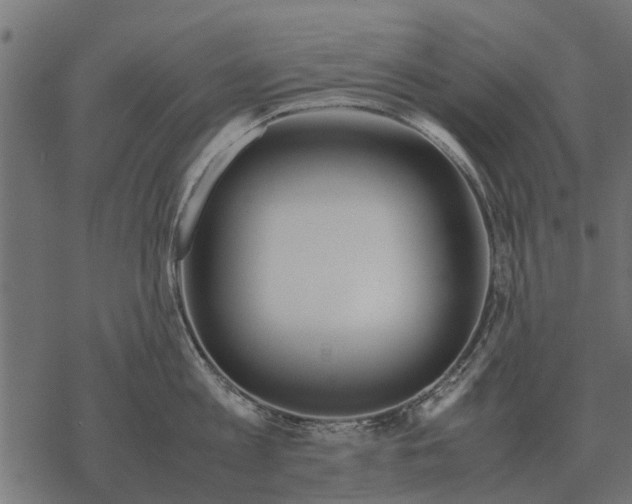 X0000067950813200605041824