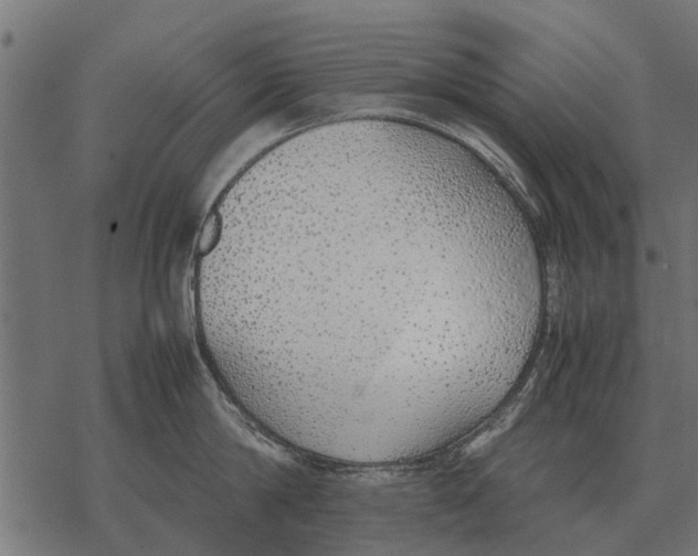 X0000067950814200605041824