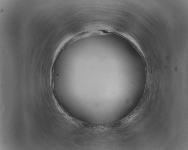 X0000067950815200605041824