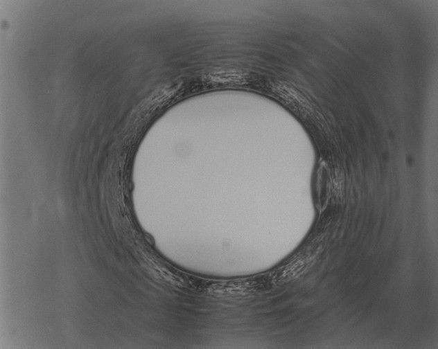 X0000067950817200605041823