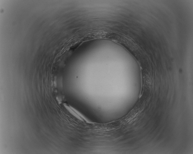 X0000067950818200605041823