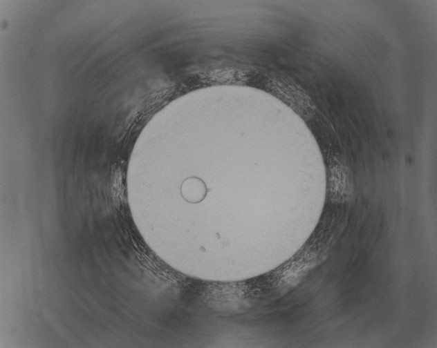 X0000067950820200605041823