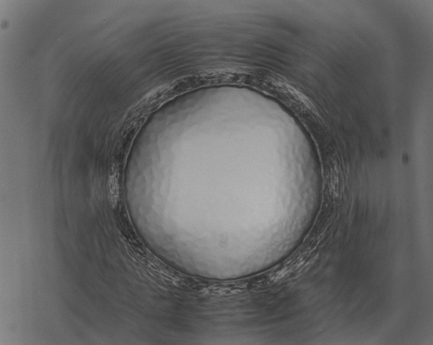 X0000067950821200605041823