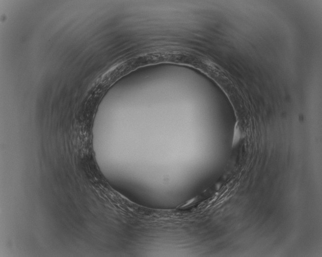 X0000067950822200605041823