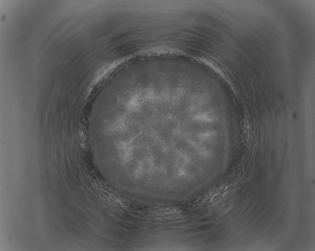 X0000067950823200605041823