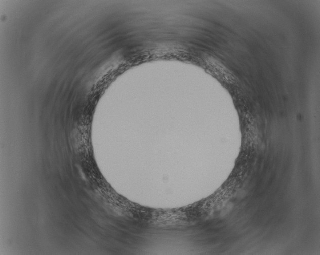 X0000067950824200605041823