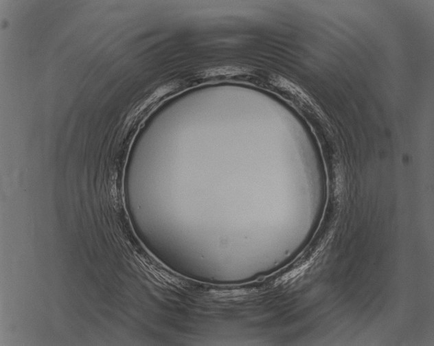 X0000067950825200605041823