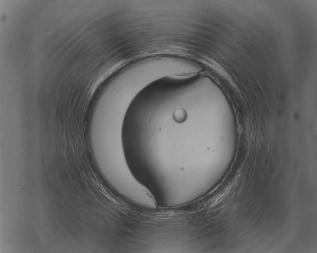 X0000067950826200605041823