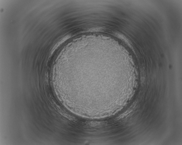 X0000067950827200605041823