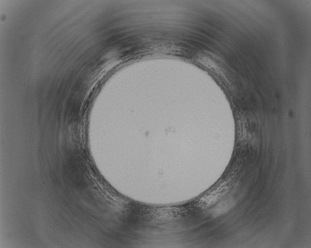 X0000067950828200605041823