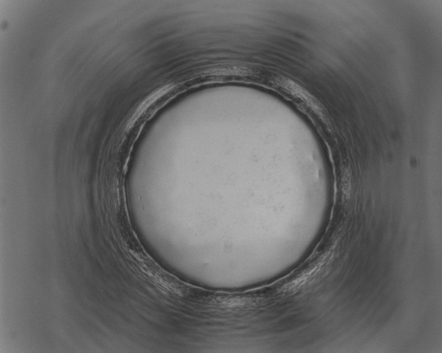 X0000067950829200605041823