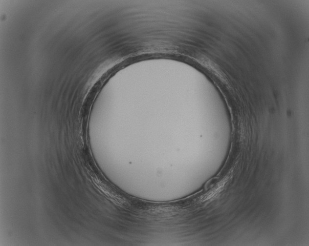 X0000067950830200605041823