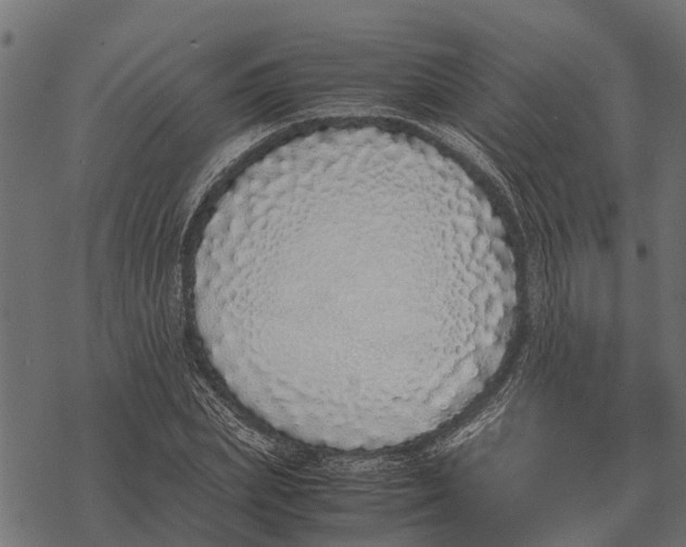 X0000067950831200605041823