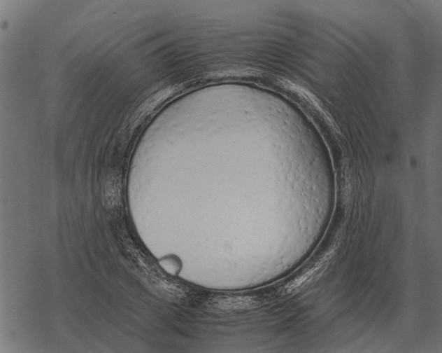 X0000067950833200605041823