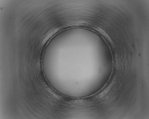 X0000067950834200605041823