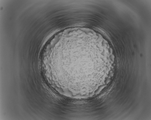 X0000067950835200605041823