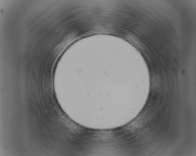 X0000067950836200605041823