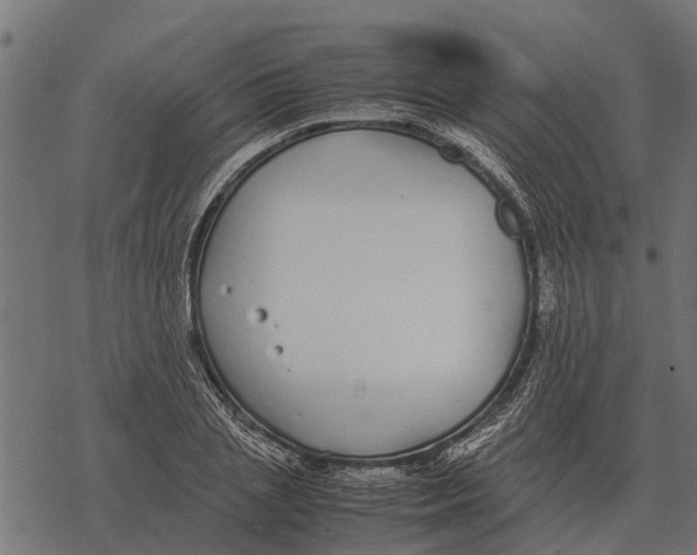 X0000067950837200605041823