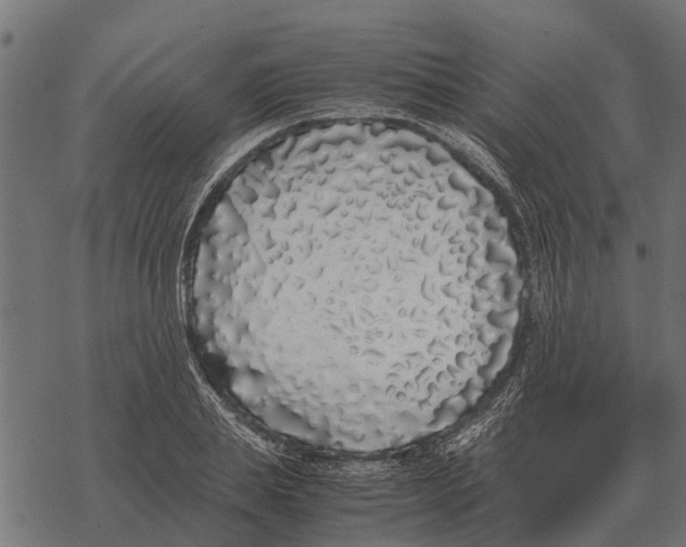 X0000067950839200605041824