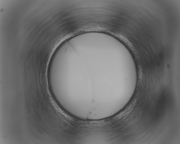 X0000067950840200605041824