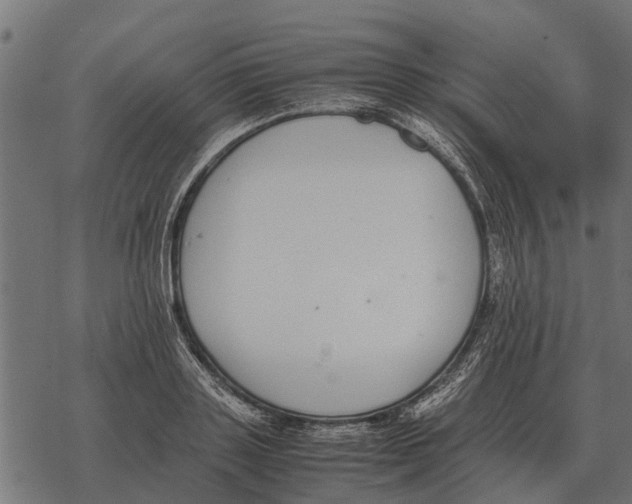 X0000067950843200605041824