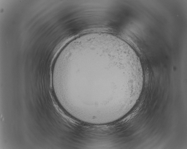 X0000067950844200605041824