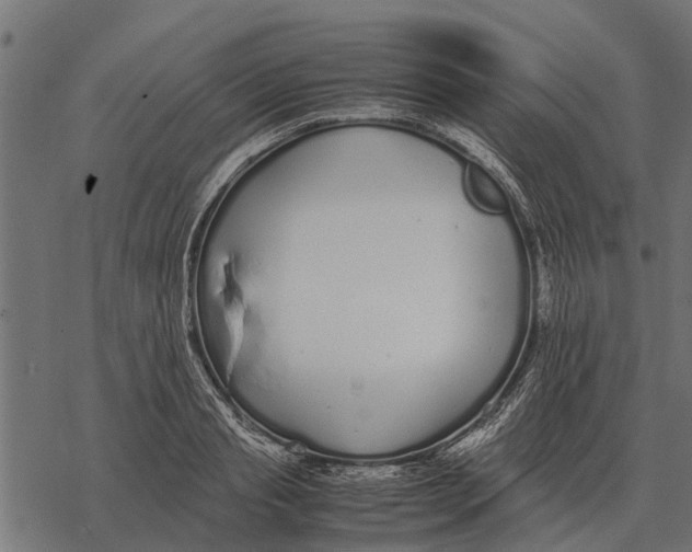 X0000067950845200605041824