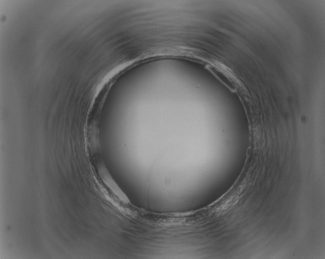 X0000067950846200605041824