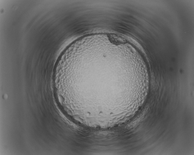 X0000067950847200605041824