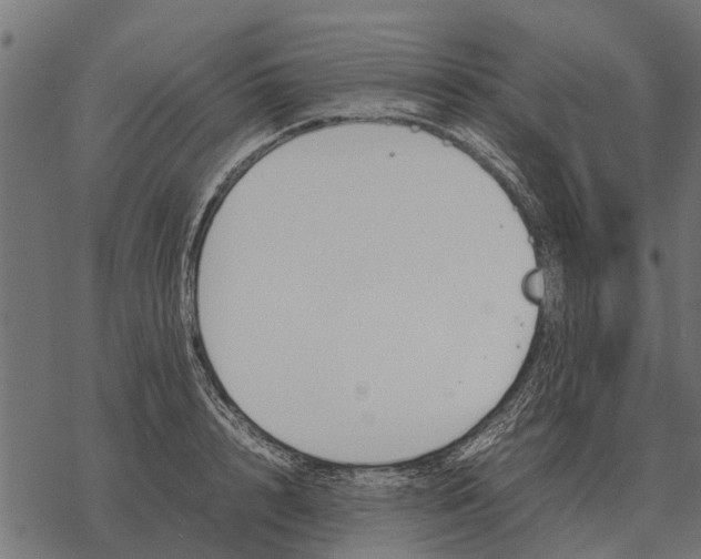 X0000067950848200605041824