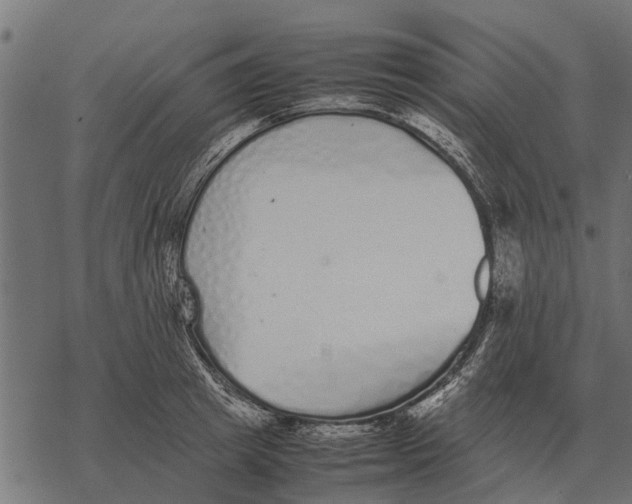 X0000067950849200605041824