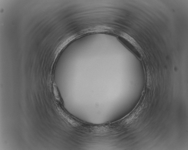 X0000067950850200605041824