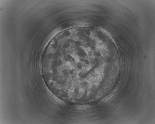 X0000067950851200605041824