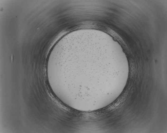 X0000067950852200605041824