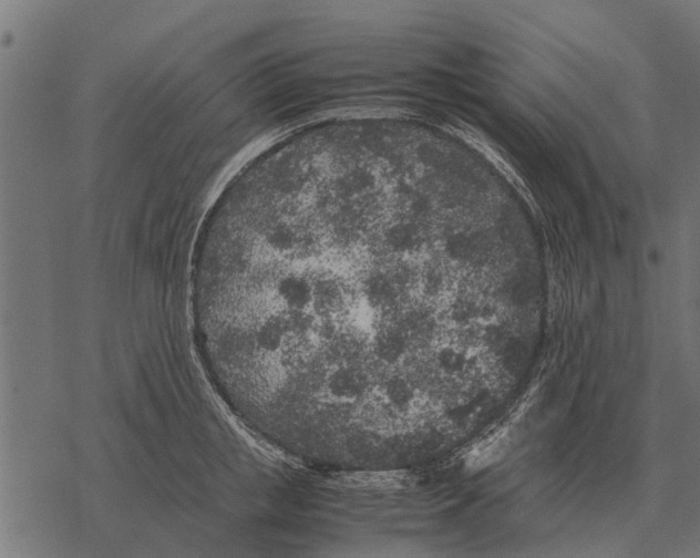 X0000067950853200605041824